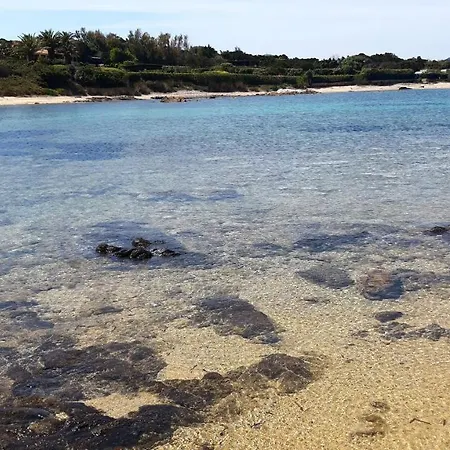 Διαμέρισμα Lo Sguardo Sulla Citta' ,panoramic View Όλμπια